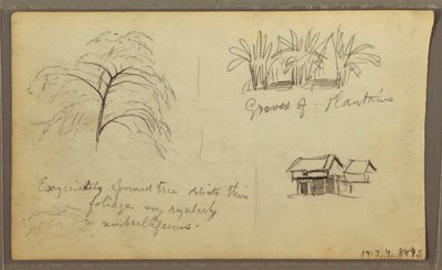Tegning, gadehjørne i Guaquil, Ecuador; bagside: Botaniske skitser, hus, Ecuador eller Colombia, 1857 af Frederic Edwin Church