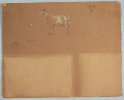 Tegning, Studier af får, Ecuador eller Colombia, 1853 af Frederic Edwin Church
