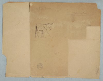 Tegning, tøjret æsel og en form for hegn, Sydamerika, 1853 af Frederic Edwin Church