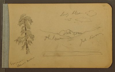 Tegning, træ, bjerge, 1889 af Frederic Edwin Church