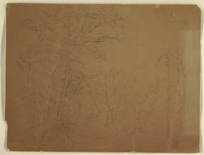 Tegning, træer, Grand Manan Island, Canada, 1851 af Frederic Edwin Church