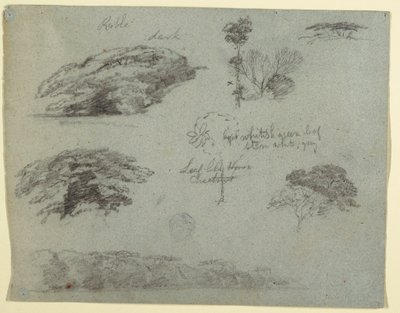 Tegning, Træer, trætoppe og en træbevokset bred, Saddleback, Maine, 1853 af Frederic Edwin Church