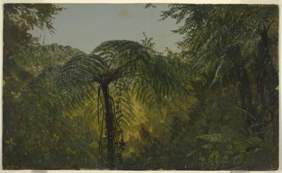 Tegning, Tropisk landskab, juni eller juli 1865 af Frederic Edwin Church