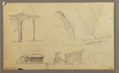 Tegning, Udsigt over østbredden af Guayas-floden, overfor Guayaquil, Ecuador, maj 1857 af Frederic Edwin Church