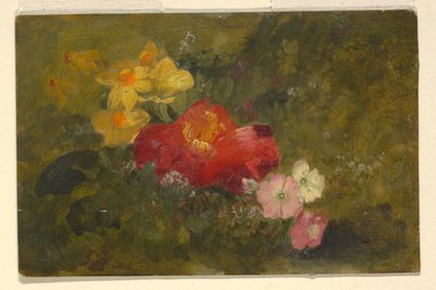 Tegning, vilde blomster, Jamaica, 1865 af Frederic Edwin Church