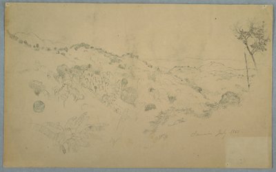 Tegning, skovklædt dal med en stor bregne og fjerne bjergkæder, Jamaica, juli 1865 af Frederic Edwin Church