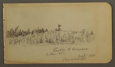 Tegning, skovklædt bred, 1878 af Frederic Edwin Church