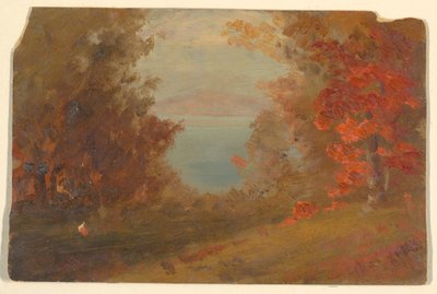 Tegning, skovbillede om efteråret (Hudson, New York eller Maine), 1860-70 af Frederic Edwin Church
