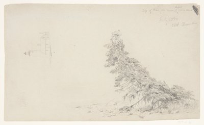 Stedsegrønt træ nær kysten med en detalje af fyrtårnet og et hus, Mount Desert, Maine af Frederic Edwin Church