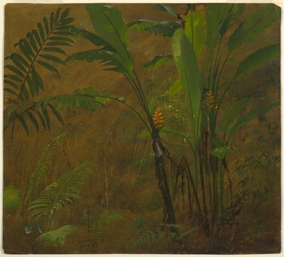 Bregner og vild plantain, Jamaica af Frederic Edwin Church