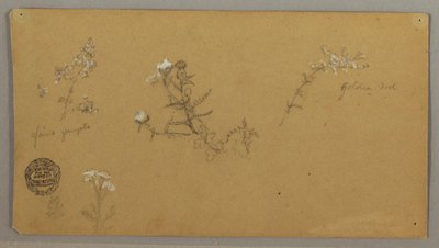 Blomstrende Planter af Frederic Edwin Church