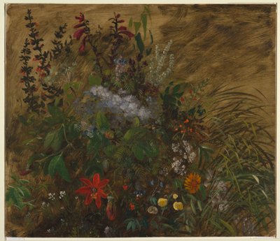 Blomster på Jamaica af Frederic Edwin Church