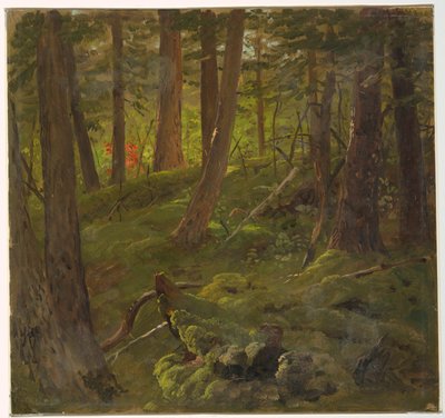 Skov i Jamaica af Frederic Edwin Church