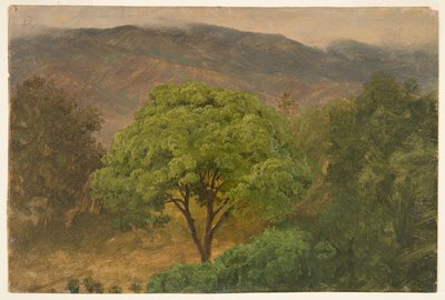 Genip-træ i bjergene, Jamaica af Frederic Edwin Church