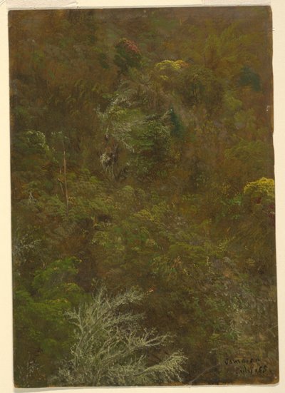 Bakkeskråning med træer, Jamaica af Frederic Edwin Church