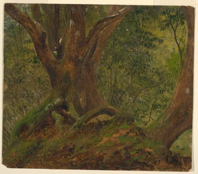 I skoven, Jamaica af Frederic Edwin Church