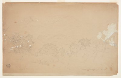 Landskab nær Guaranda, Ecuador af Frederic Edwin Church