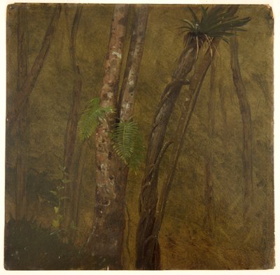 Landskab på Jamaica af Frederic Edwin Church