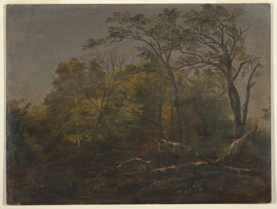 Maine Woods af Frederic Edwin Church
