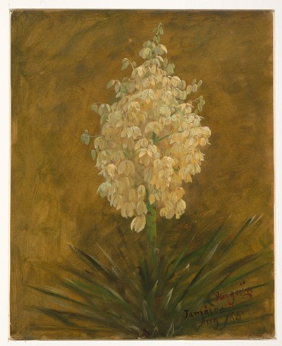 Pingvin plante af Frederic Edwin Church