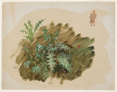 Planteundersøgelser af Frederic Edwin Church