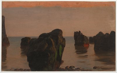Sten og mos ud for Grand Manan af Frederic Edwin Church