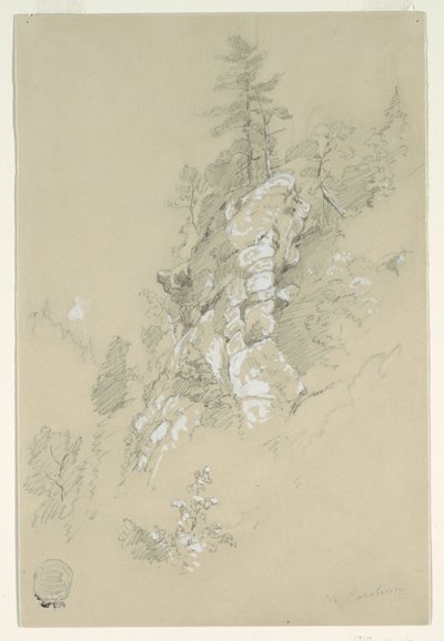 Rocky Hillside, North Carolina af Frederic Edwin Church