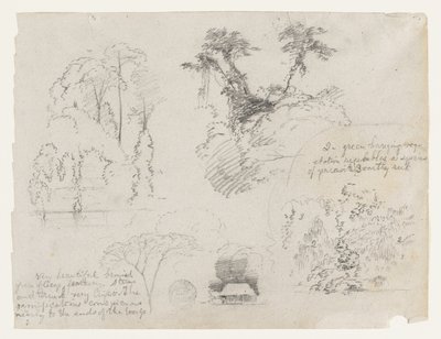 Skitser fra Sydamerika, sandsynligvis fra Colombia.  Botaniske skitser.  Et hus. af Frederic Edwin Church