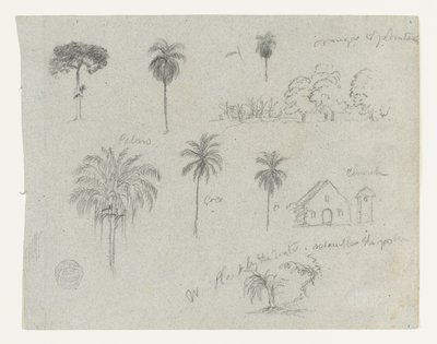 Skitser fra Rio Magdalena, Colombia.  Botaniske skitser. En kirke.  Svarende til -103. af Frederic Edwin Church
