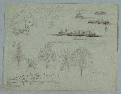 Skitser fra Rio Magdalena, Colombia: Planter, dampbåd og en Champan af Frederic Edwin Church