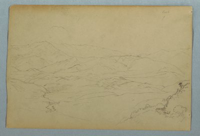 Skitser af planter og af en del af balustraden, der grænser op til terrassen på kroen i Guaranda, Ecuador af Frederic Edwin Church