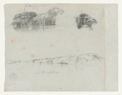 Skitser af træer, vinstokke og en bred af Rio Magdalena, Columbia af Frederic Edwin Church