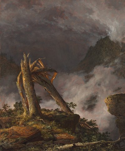 Storm i bjergene af Frederic Edwin Church