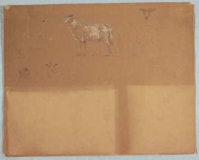 Studier af får, Ecuador eller Colombia af Frederic Edwin Church