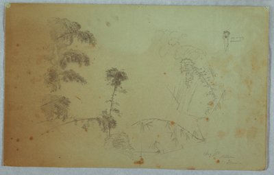 Studier af træer med detaljer af bambus og en lille detalje af en mand, der bærer bananer på hovedet, Bellevue, Jamaica af Frederic Edwin Church