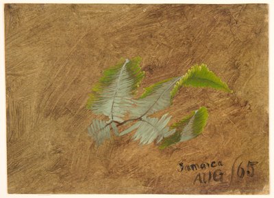 Undersøgelse af Fern, Jamaica af Frederic Edwin Church