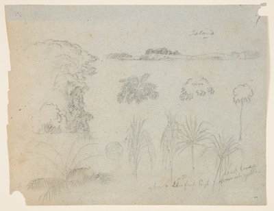 Studer med trætoppe, træer, fem design af planter og en fjern ø af Frederic Edwin Church