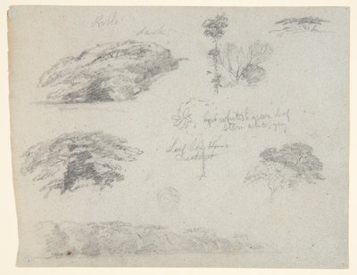 Træer, trætoppe og en skovklædt banke, Saddleback, Maine af Frederic Edwin Church