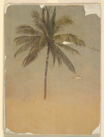 Stamme og top af en palme af Frederic Edwin Church
