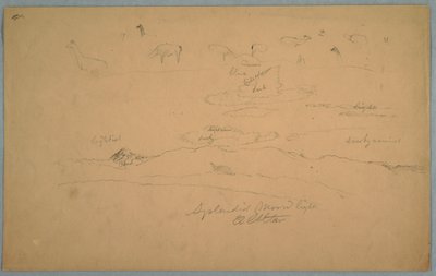 Udsigt over Ecuador: Lamaer, der græsser og en overskyet månebelyst himmel med El-alteret, der rejser sig bag en bjergkæde af Frederic Edwin Church