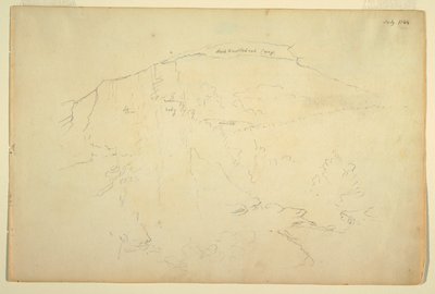 Wooded Hillside, Catskill Mountains af Frederic Edwin Church