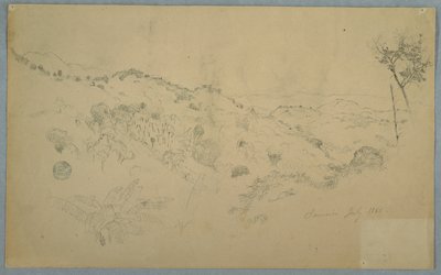 Skovklædt Vale med en stor bregne og fjerne bjergkæder, Jamaica af Frederic Edwin Church