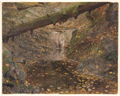 Woodland Stream, muligvis Mt. Desert, Maine af Frederic Edwin Church