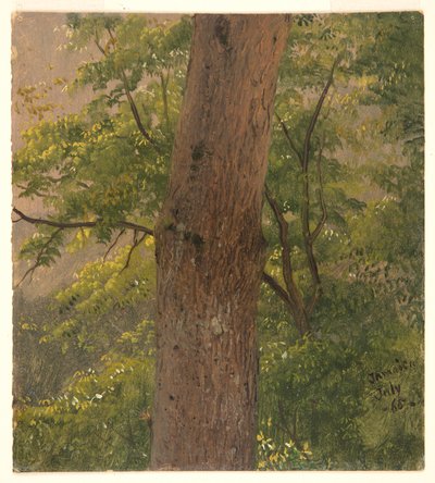 Woodland Study, Jamaica af Frederic Edwin Church