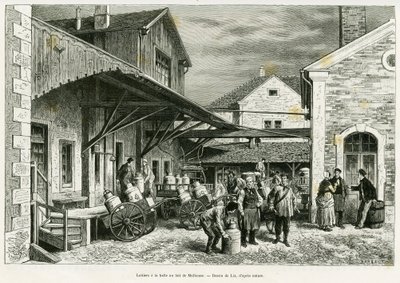 Mejeri i Mælkehallen i Mulhouse. Gravering af Lix til illustration af historien A travers l