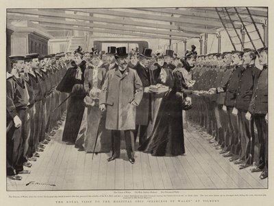 Det kongelige besøg på hospitalsskibet Princess of Wales i Tilbury af Frederic de Haenen