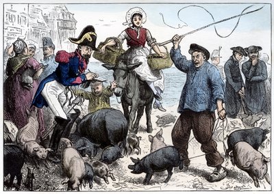 Pigmarked, Boulogne af Frederick Barnard