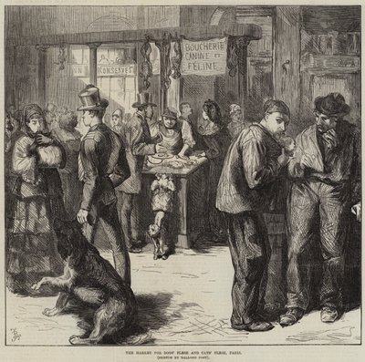 Markedet for hundekød og kattekød, Paris af Frederick Barnard