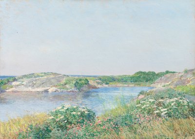 Den lille dam, Appledore, 1890. af Frederick Childe Hassam