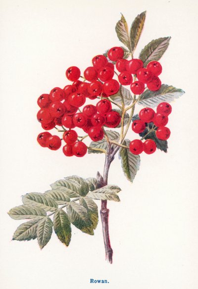  af Frederick Edward Hulme